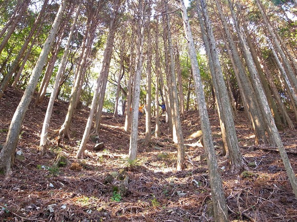 e0138939_2238183.jpg