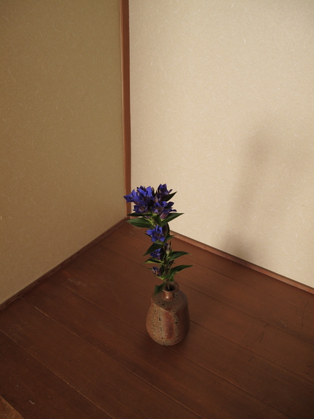 still on journey_f0114339_13595740.jpg