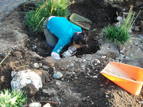d0110641_16473678.jpg