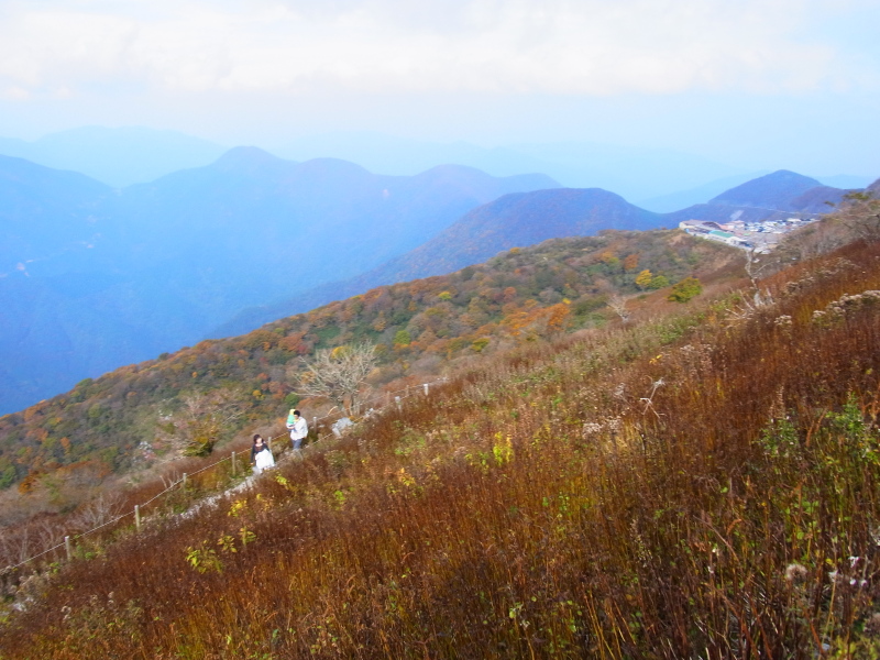 b0190242_15475788.jpg