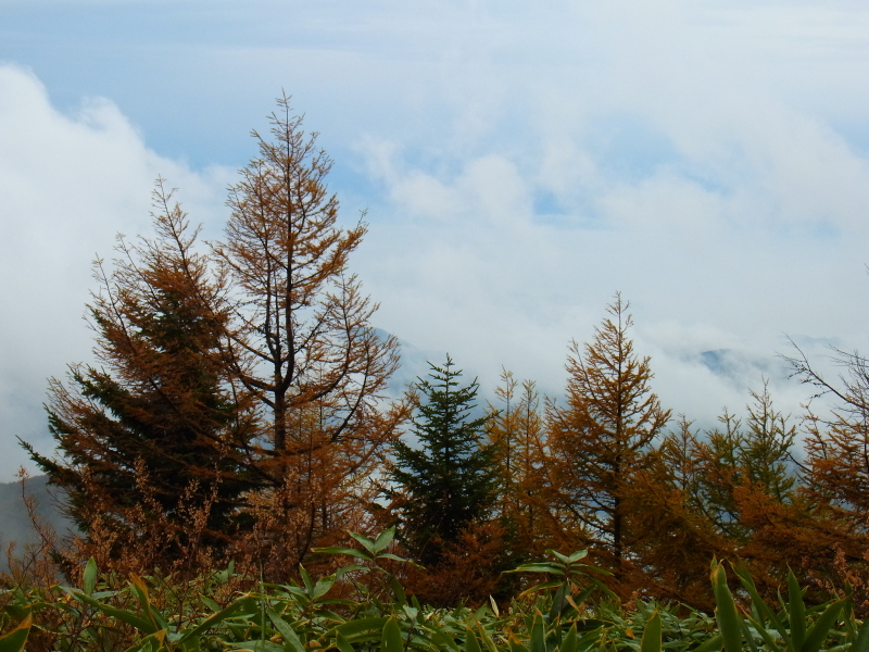 b0190242_15581441.jpg