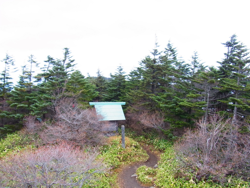 b0190242_15584055.jpg