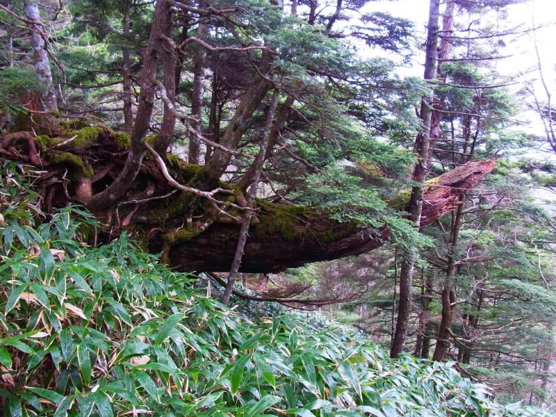 b0190242_16105969.jpg