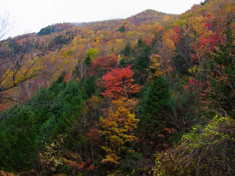 b0190242_1615565.jpg