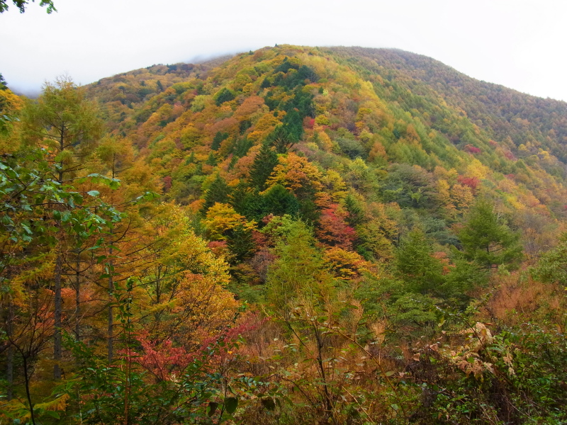 b0190242_1632887.jpg