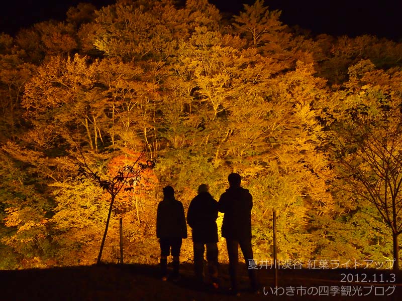 11月4日 日 夏井川渓谷 紅葉ライトアップの様子 いわき市の四季観光ブログ