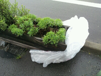 おはよう。長万部。_d0164343_9304669.jpg
