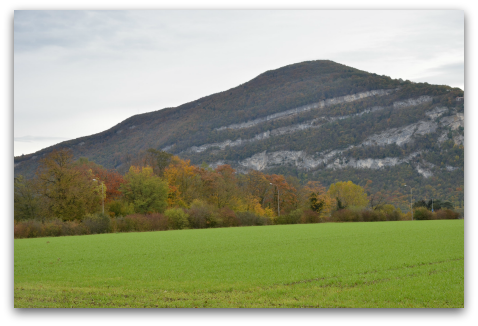 d0227344_22291322.png