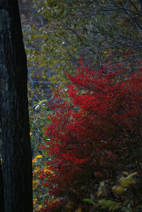 c0035245_0635.jpg