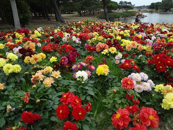 海の中道海浜公園_c0185445_2362598.jpg