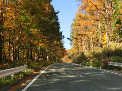 紅葉真っ盛り♪_f0019247_1654319.jpg