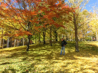 紅葉真っ盛り♪_f0019247_16575648.jpg