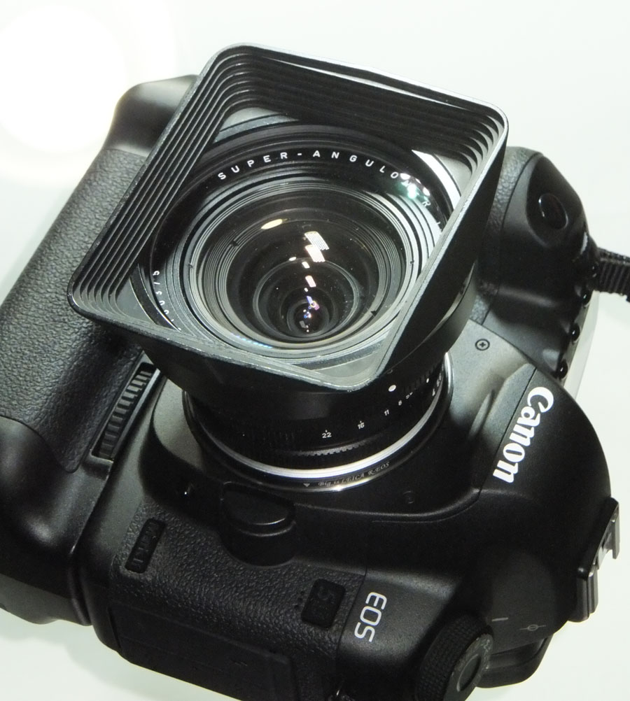 Leica Super Angulon R 21mm f4 : 琥珀停