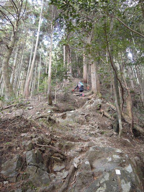 雪彦山登山_b0210754_1923061.jpg