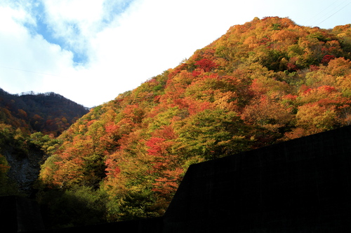 b0223754_2217070.jpg