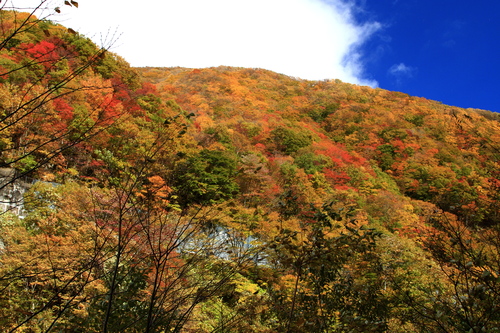 b0223754_22243431.jpg