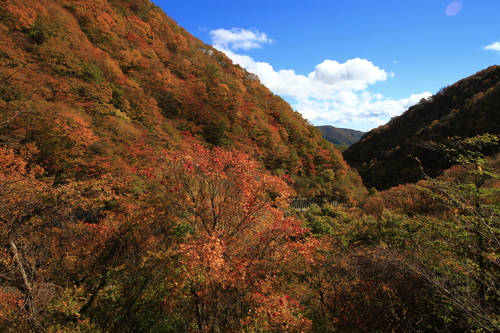 b0223754_22381484.jpg