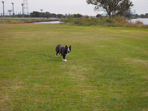 b0268454_2323520.jpg