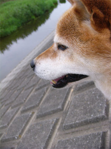 f0209058_1703325.jpg