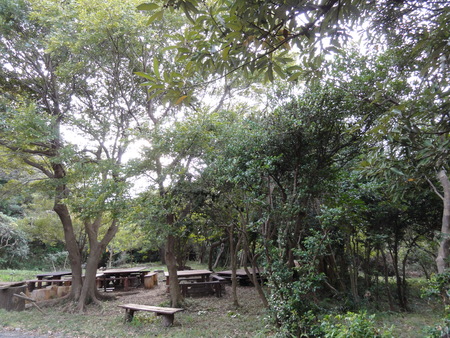寒中の陸ガニ探し…?_c0108460_20582352.jpg