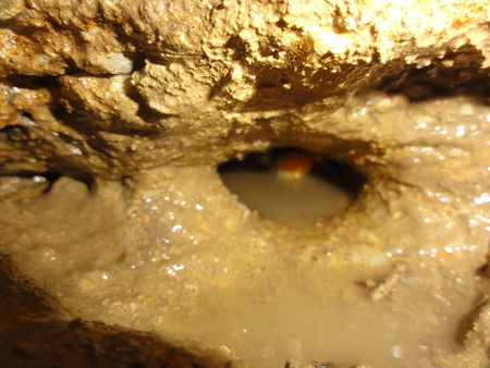 寒中の陸ガニ探し…?_c0108460_2102831.jpg