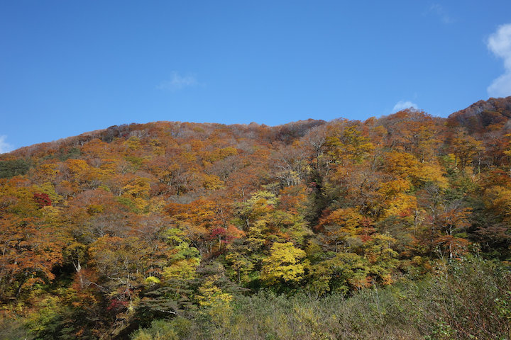 c0178561_1554389.jpg