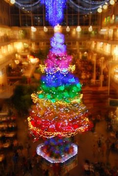 今年のクリスマスツリー_c0227664_22442542.jpg