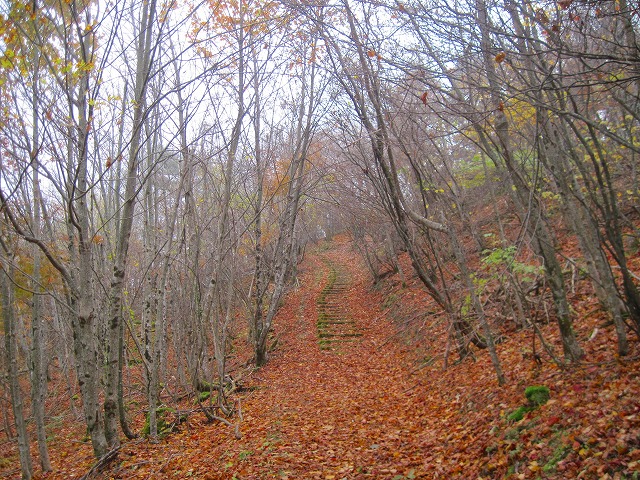 2012.11.2～3　落合峠キャンプ山行_c0219866_17374186.jpg