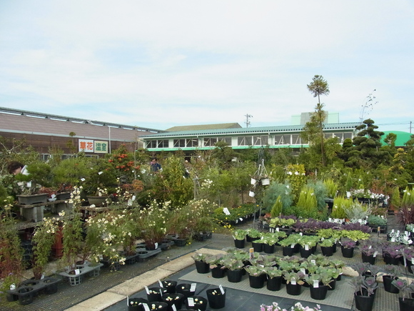 b0194267_19441460.jpg