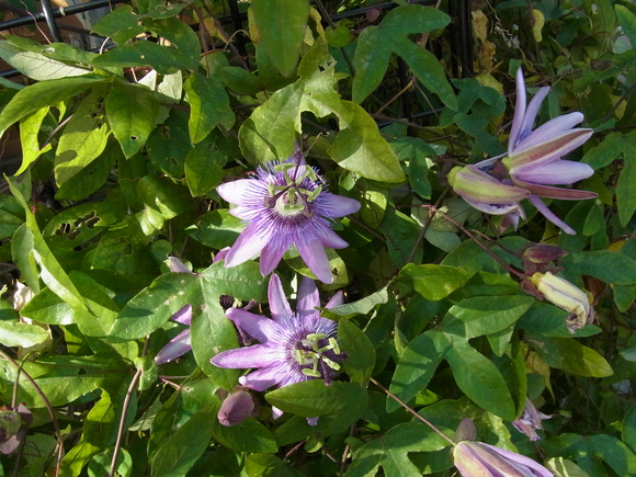b0194267_209952.jpg