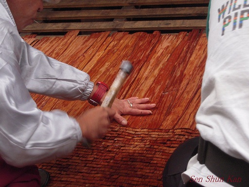 文化財建造物の保存修理　賀茂御祖神社（下鴨神社）　2012年_a0164068_93051.jpg