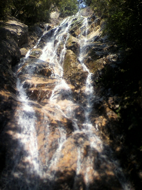 f0052068_20322124.jpg