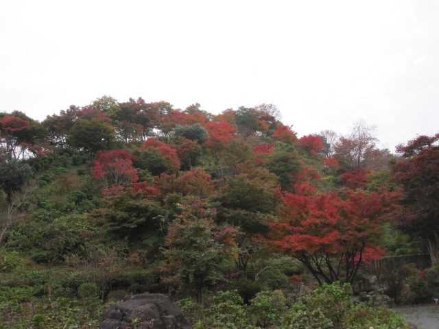 11月4日　今日の園です_f0085369_2210679.jpg