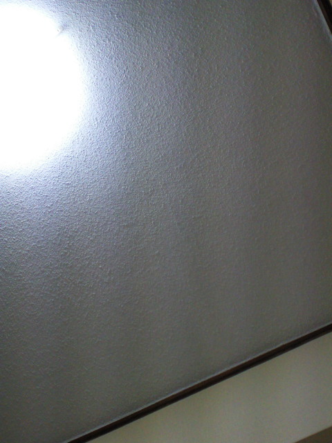 c0001670_964022.jpg