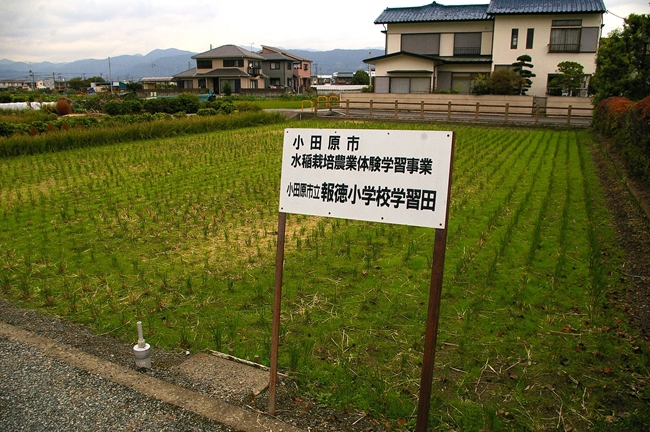 d0031171_8455328.jpg