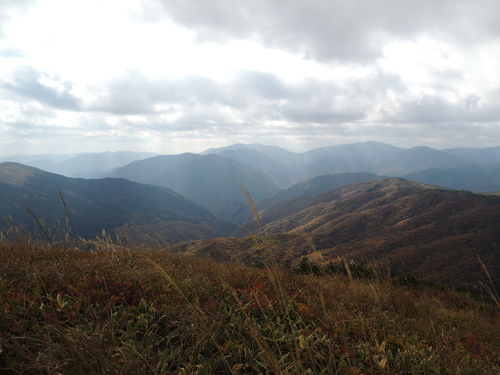 a0256079_20102635.jpg