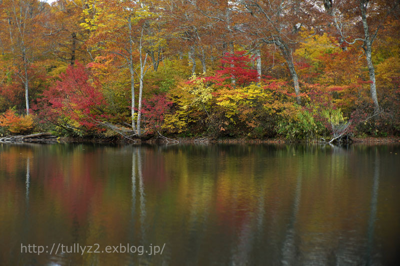 紅葉の鎌池　（５）_e0109883_1815722.jpg