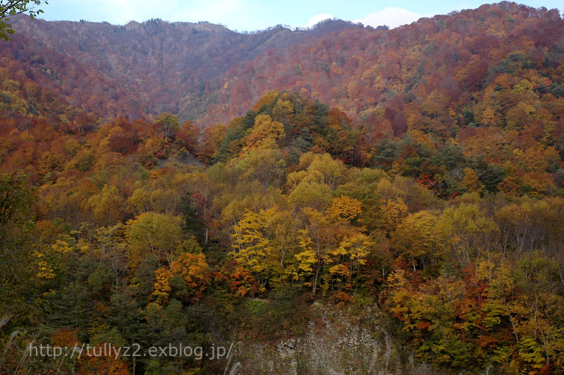 紅葉の鎌池　（１０）_e0109883_1851567.jpg