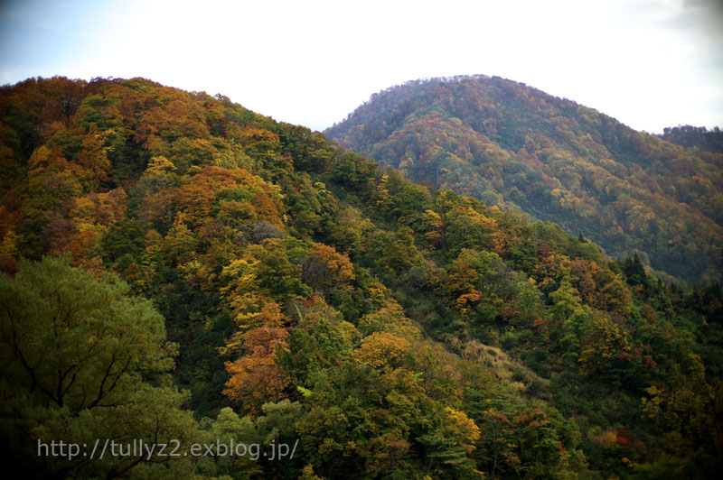 紅葉の鎌池　（１１）_e0109883_1855525.jpg