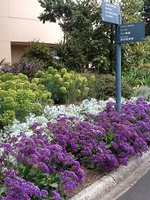 f0057284_223369.jpg