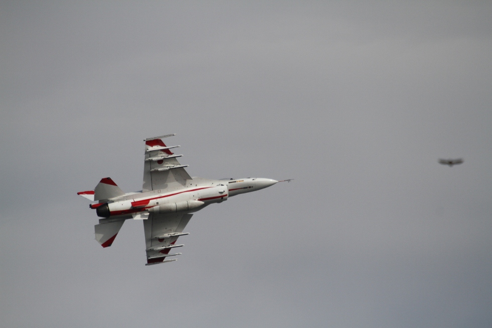 入間航空祭　２０１２＃２_f0201084_18582540.jpg