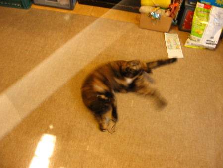 f0091785_13574473.jpg