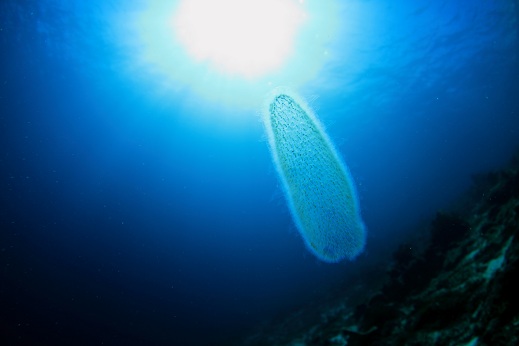 今朝も最高のお天気です！_a0109187_8243035.jpg