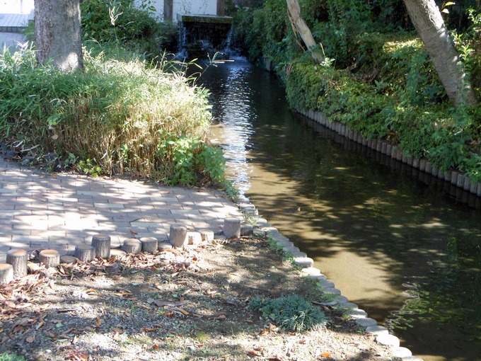 e0121589_1738399.jpg