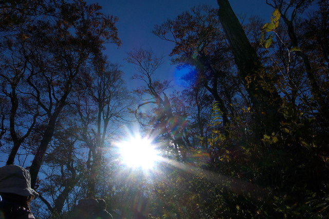 c0190391_20131384.jpg