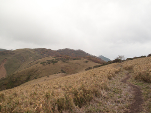b0208494_2213236.jpg