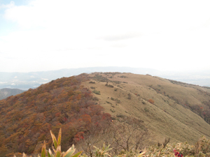 b0208494_22134490.jpg