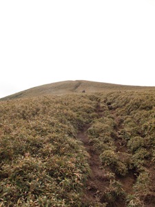 b0208494_22141278.jpg