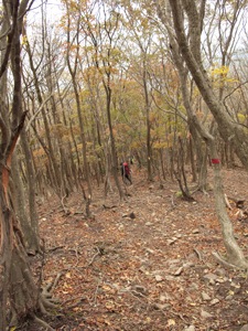b0208494_22154655.jpg