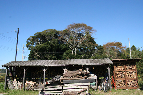 d0100095_11452668.jpg